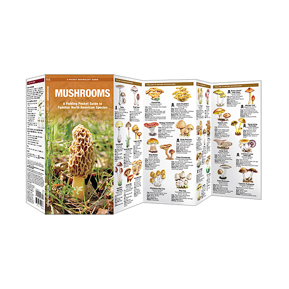 A Pocket Naturalist Guide - Mushrooms