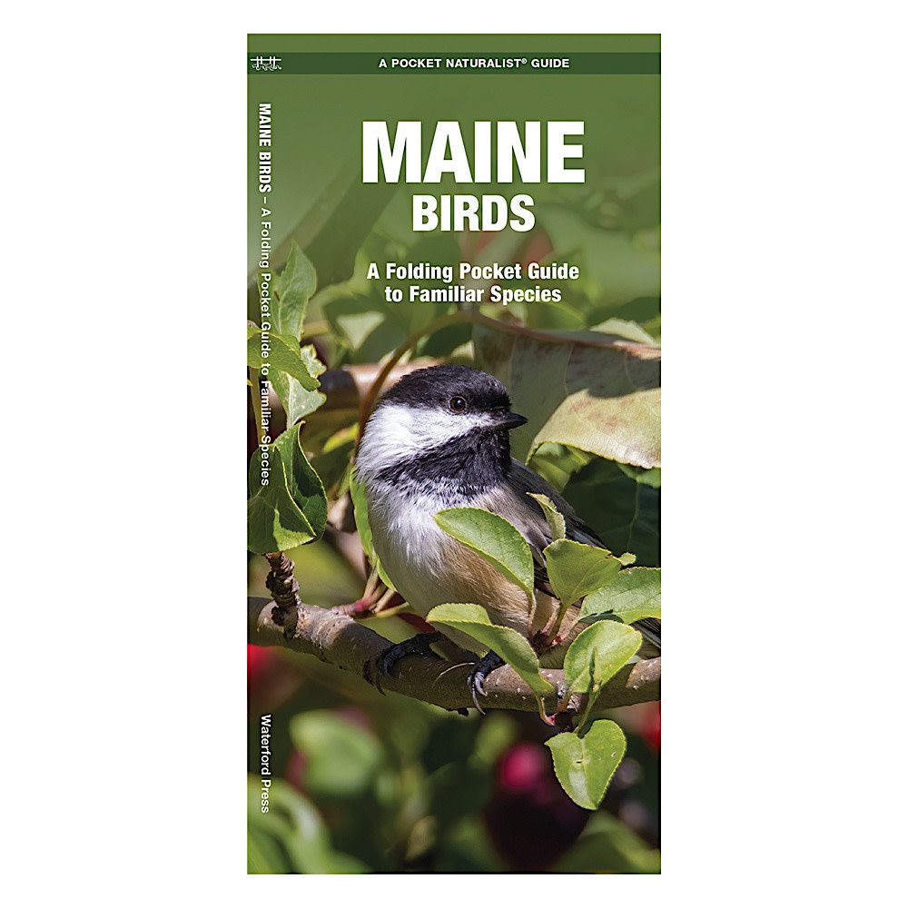 Waterford Press A Pocket Naturalist Guide - Maine Birds