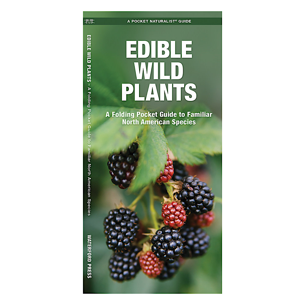 A Pocket Naturalist Guide - Edible Wild Plants