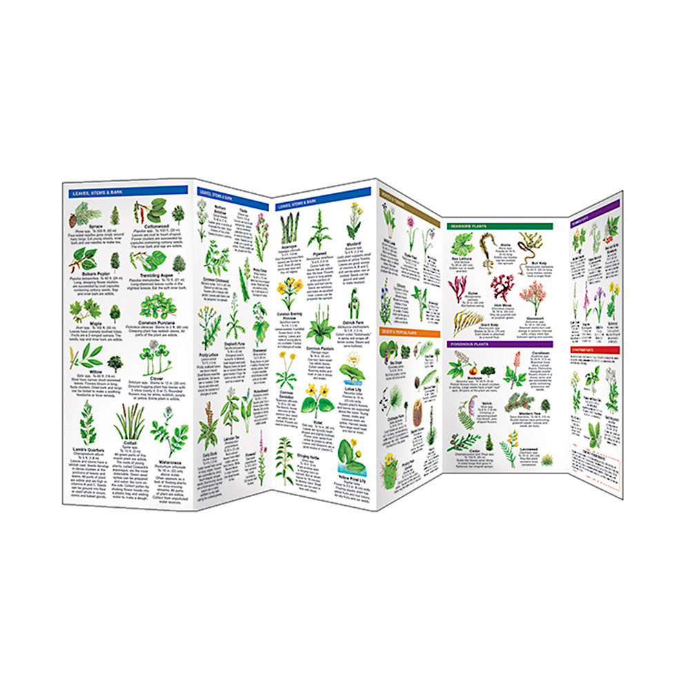 A Pocket Naturalist Guide - Edible Wild Plants