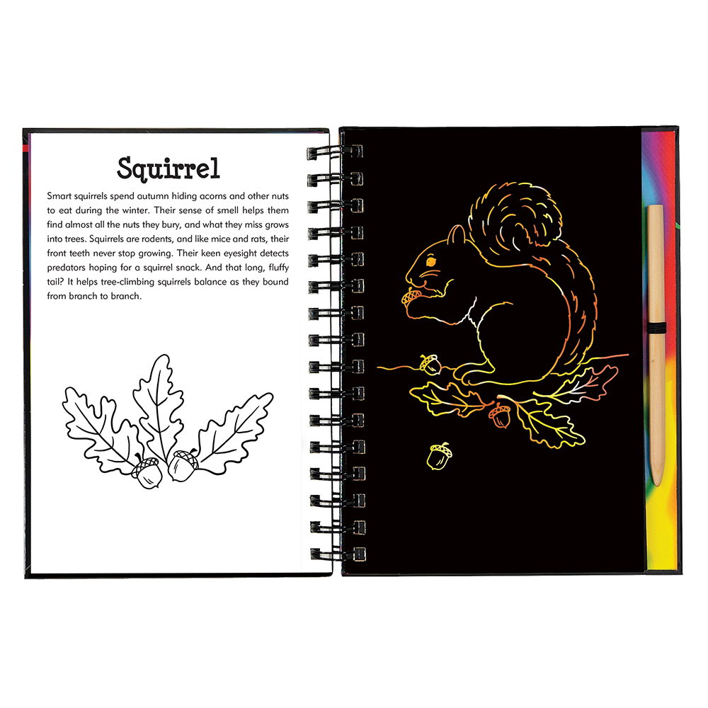 Scratch and Sketch Activity Book - Forest Friends
