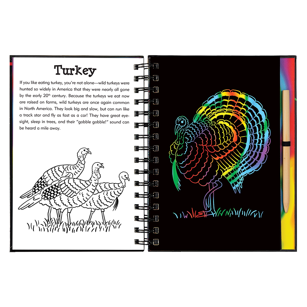 Scratch and Sketch Activity Book - Forest Friends