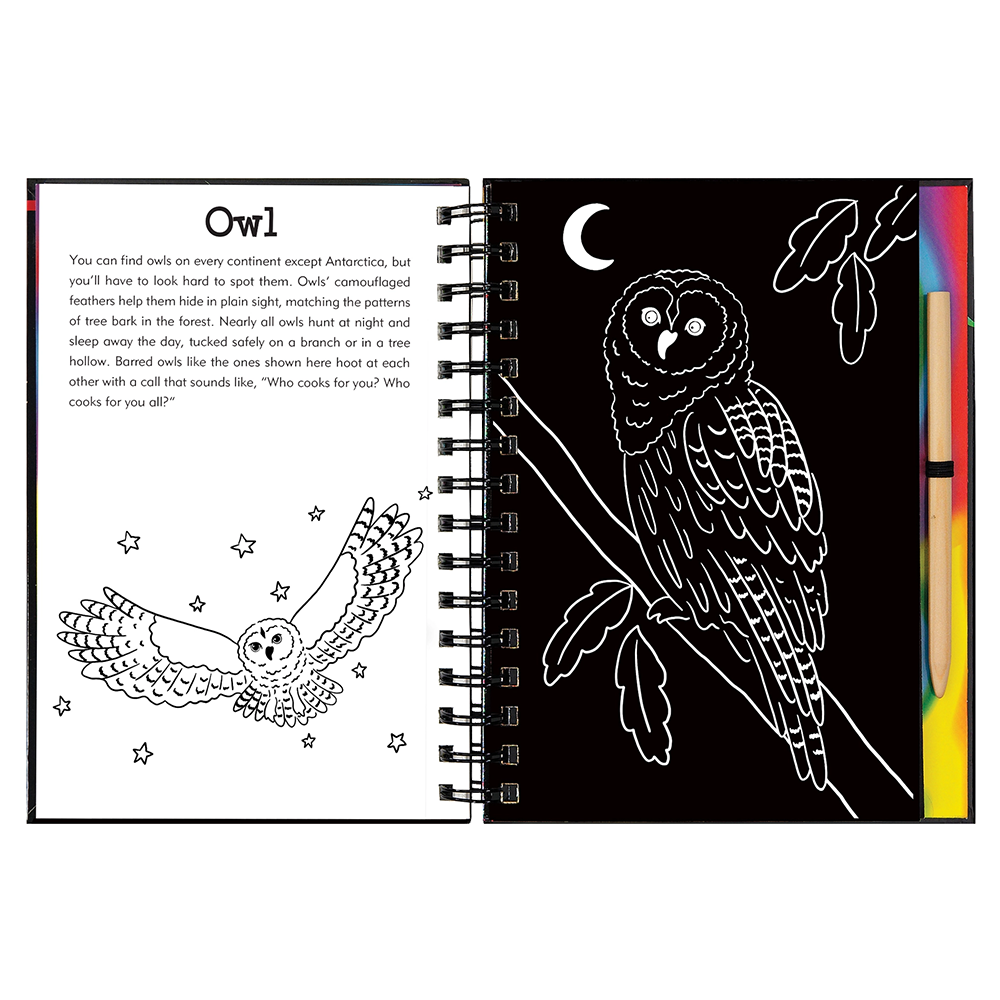 Scratch and Sketch Activity Book - Forest Friends
