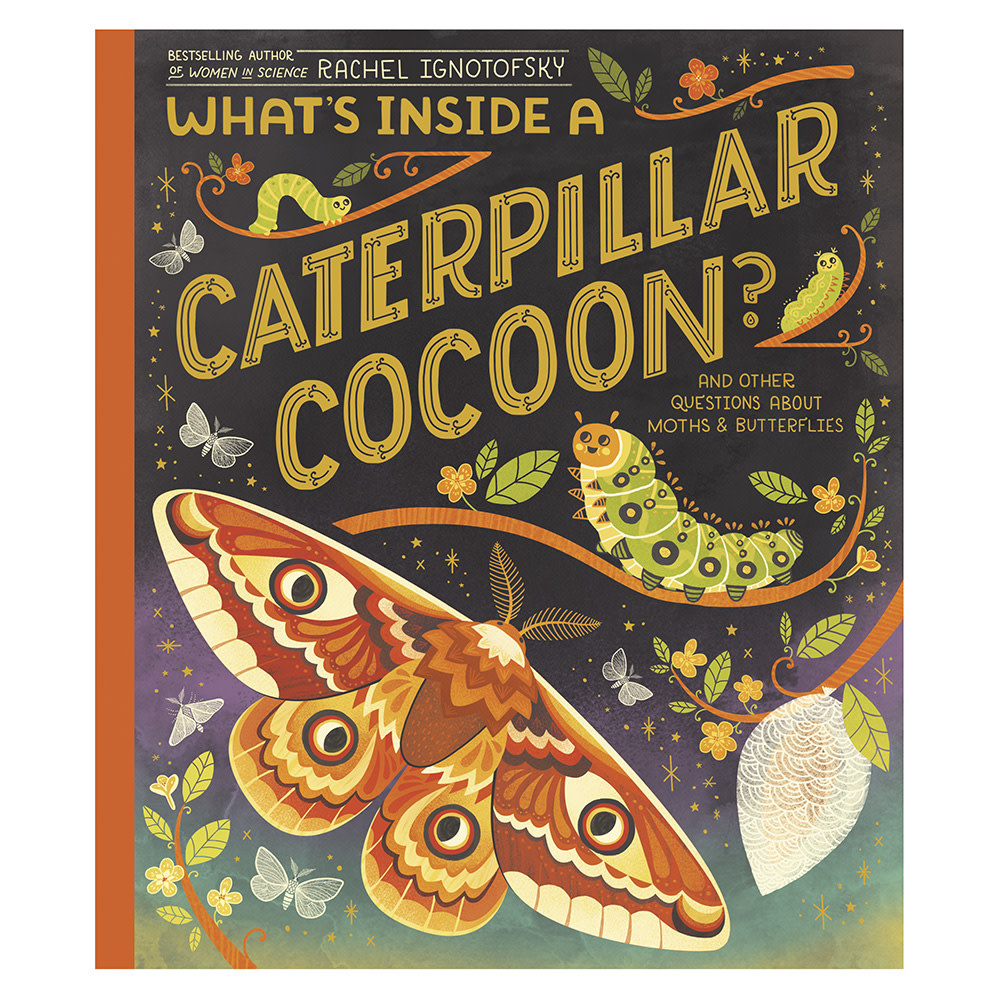 What's Inside a Caterpillar Cocoon? Hardcover Book