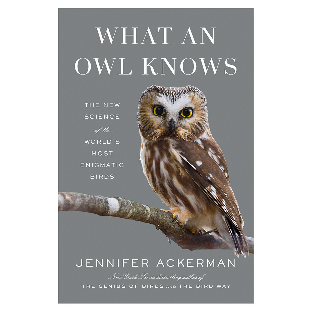 Penguin What an Owl Knows Hardcover Book