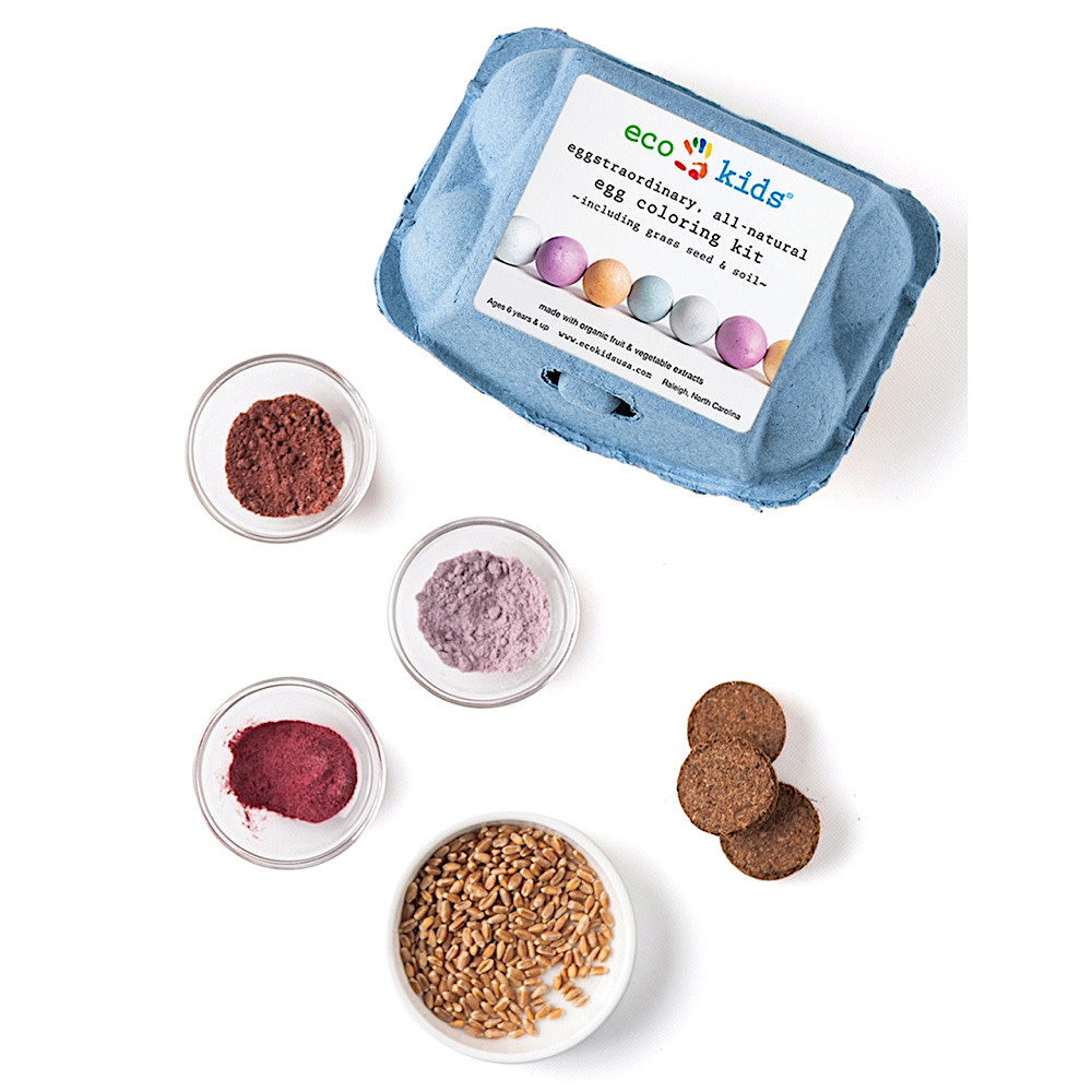 Eco-Kids/Elseware Unplug Eco Kids - Egg Coloring and Grass Growing Kit