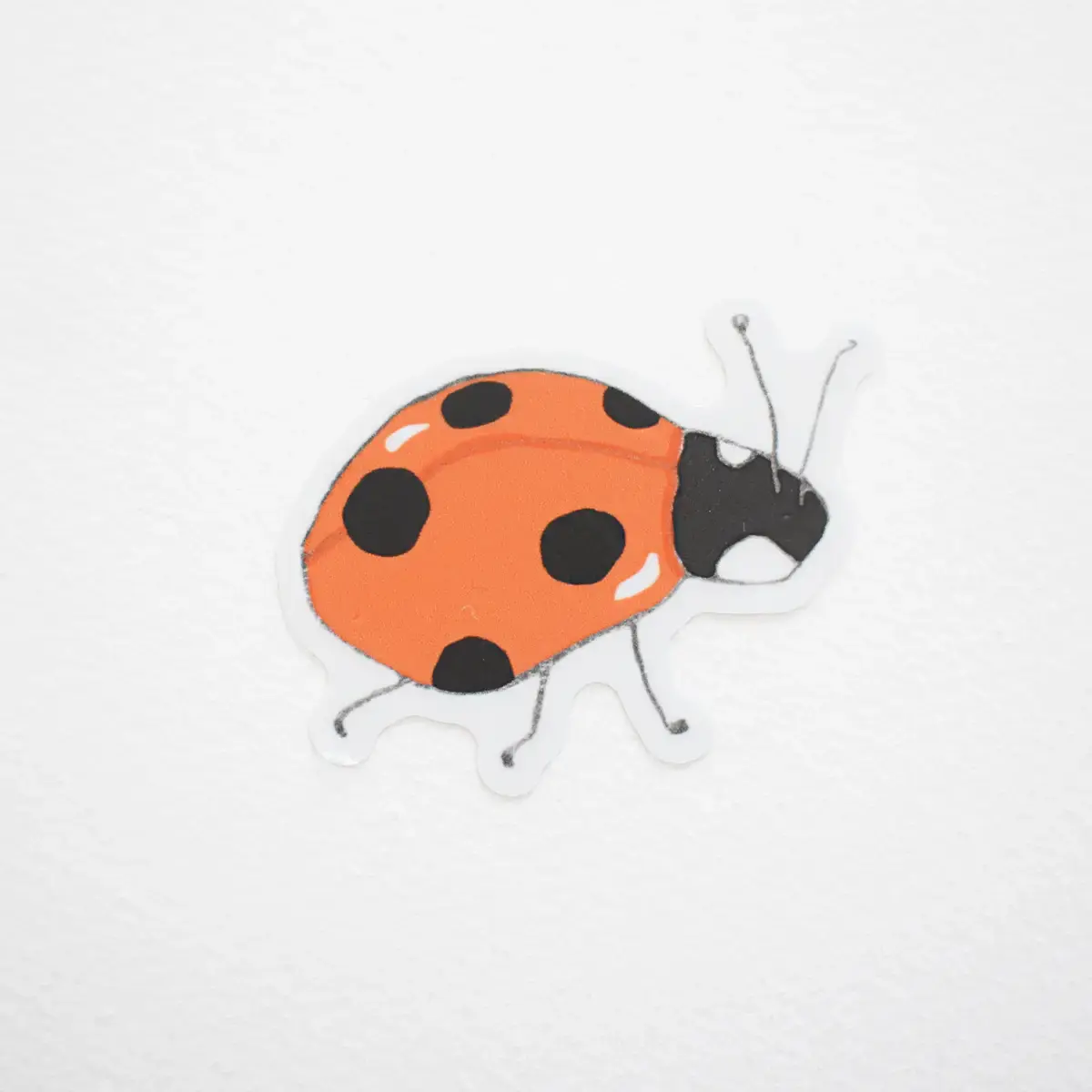 Sara Fitz Sara Fitz Sticker - Ladybug