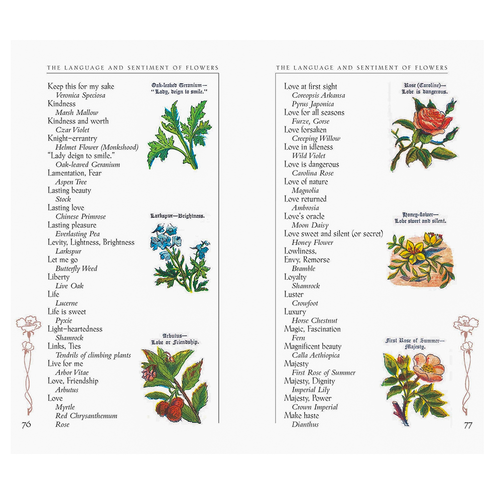 The Language and Sentiment of Flowers Hardcover