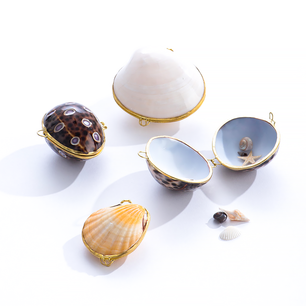 GeoCentral Seashell Boxes - Assorted