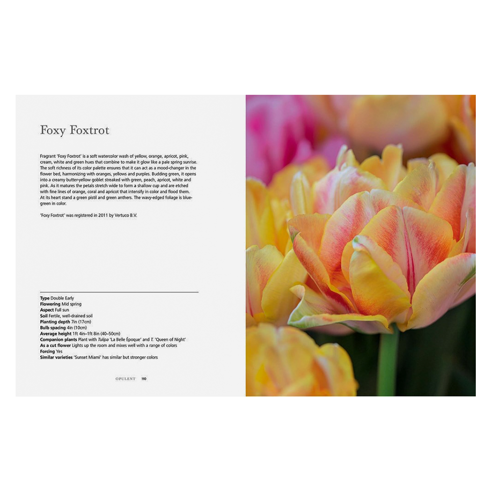 Tulips: Beautiful Varieties for Home and Garden Hardcover