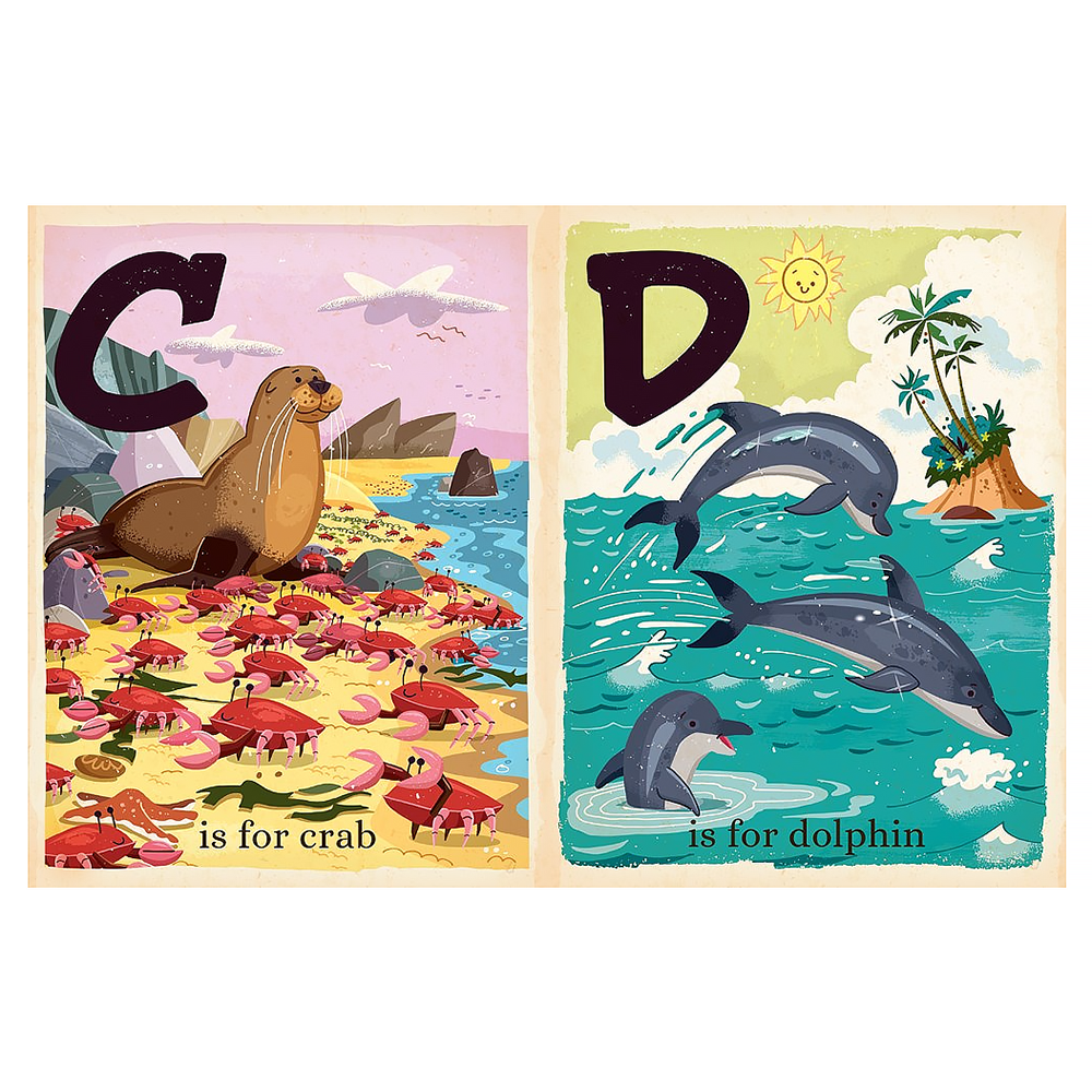 O is for Ocean Board Book