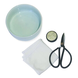 Kikkerland Mini Ikebana Kit