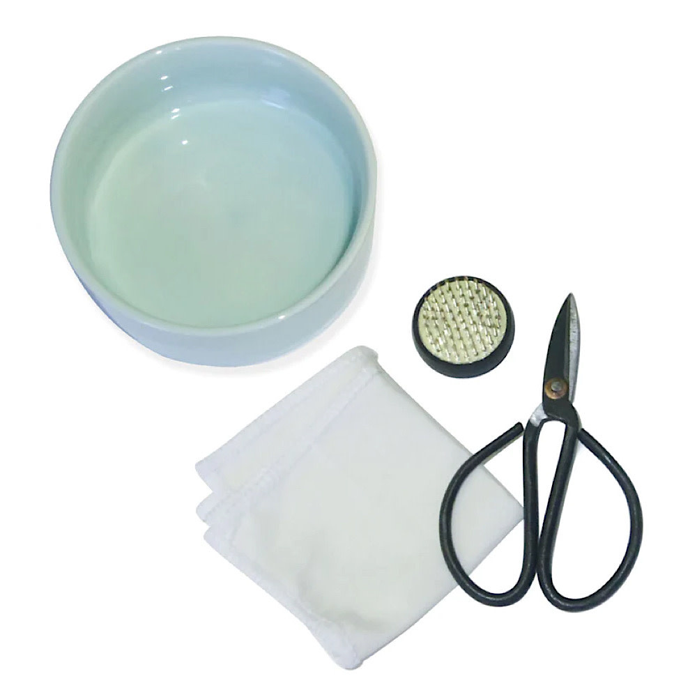 Kikkerland Mini Ikebana Kit