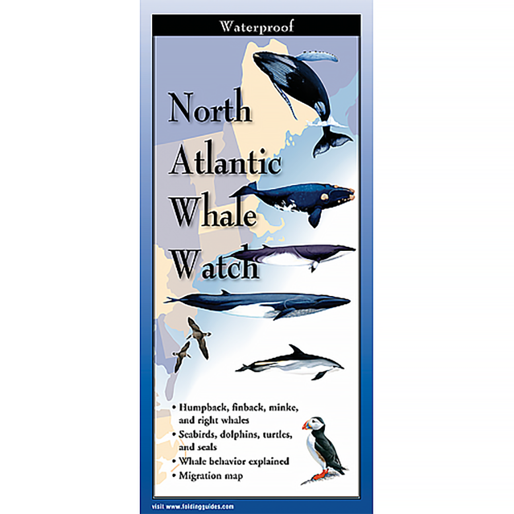 Earth Sky + Water - Brochure Guide - North Atlantic Whale Watch