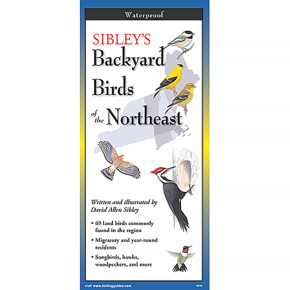 Earth Sky + Water Earth Sky + Water - Brochure Guide - Sibley's Backyard Birds of the Northeast