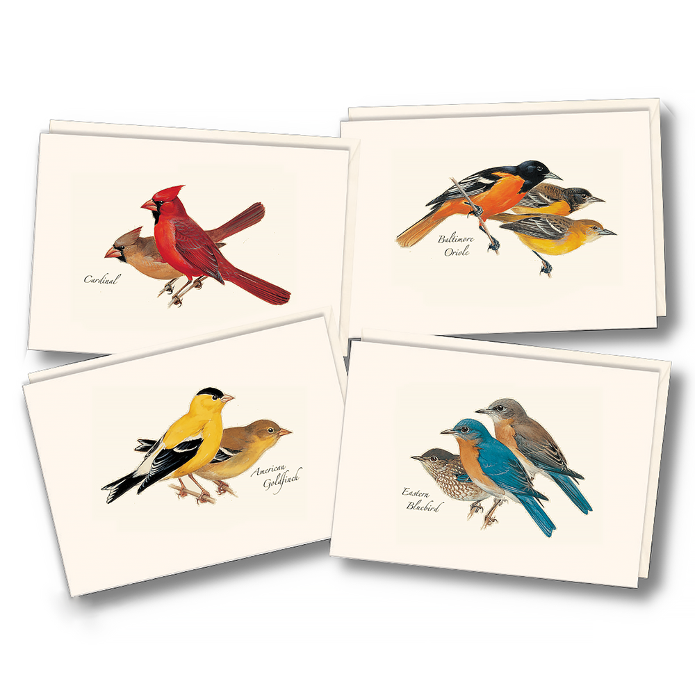 Earth Sky + Water Earth Sky + Water - Peterson Birds Card - Box Set of 8