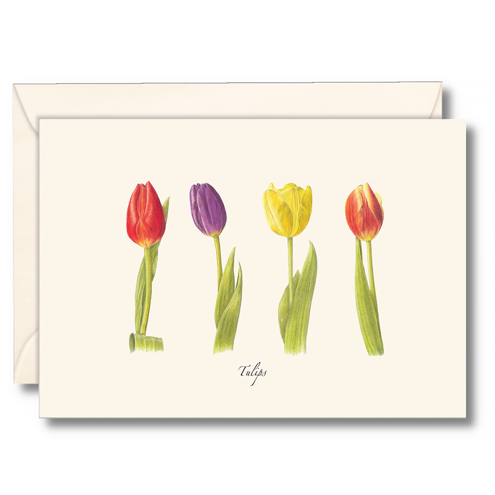 Earth Sky + Water - Tulips Card - Box Set of 8