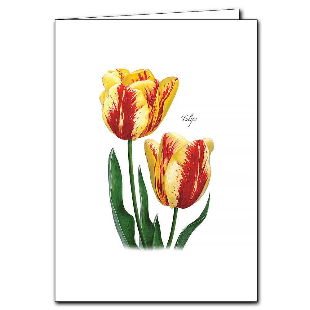 Earth Sky + Water - Two Tulips Card