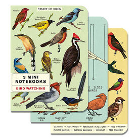 Cavallini Papers & Co., Inc. Cavallini - Set of 3 Mini Notebooks - Bird Watching