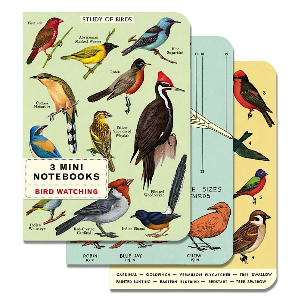 Cavallini - Set of 3 Mini Notebooks - Bird Watching