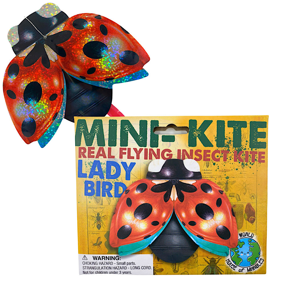 House of Marbles Mini Flying Insect Kites - Assorted