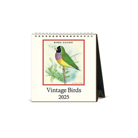 Cavallini Papers & Co., Inc. Cavallini - 2025 Desk Calendar - Vintage Birds