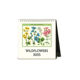 Cavallini Papers & Co., Inc. Cavallini - 2025 Desk Calendar - Wildflowers