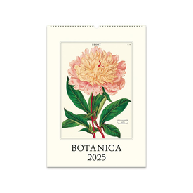 Cavallini Papers & Co., Inc. Cavallini - 2025 Wall Calendar - Botanica