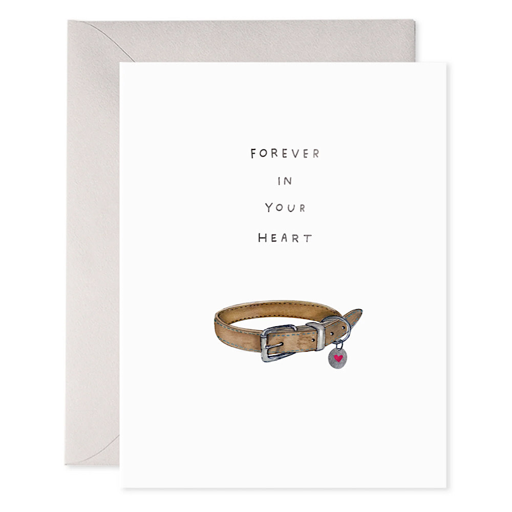 E. Frances - Pet Collar Sympathy Card