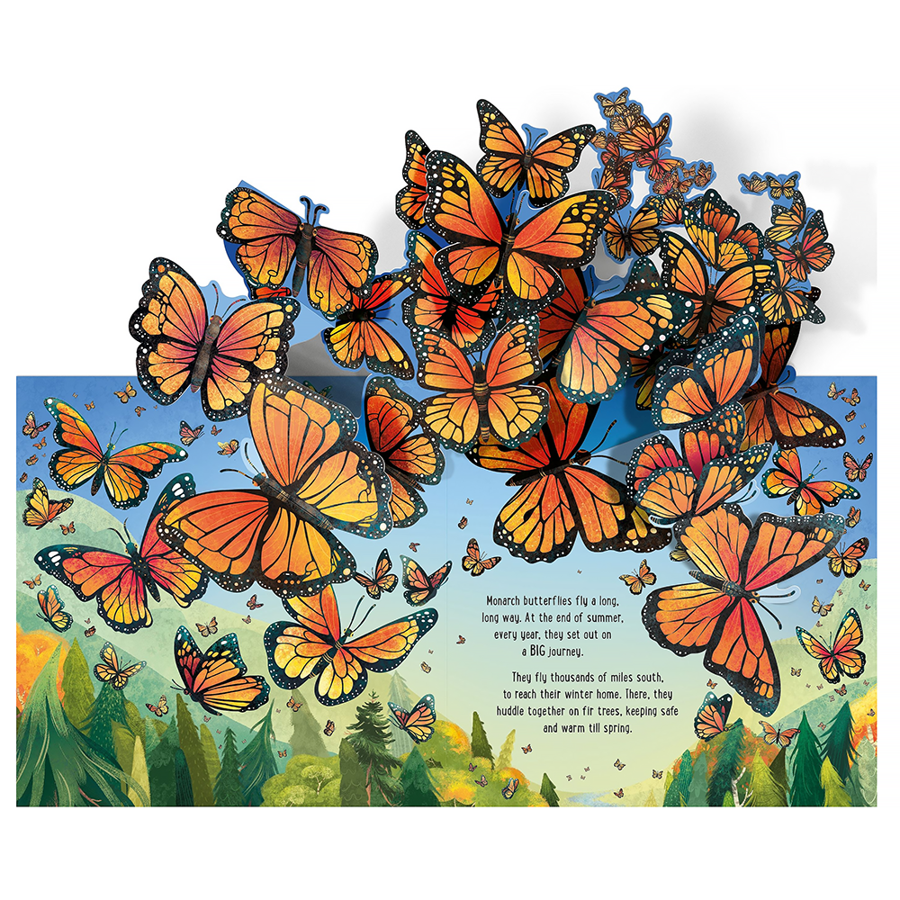 Pop Up Butterflies - Board Book