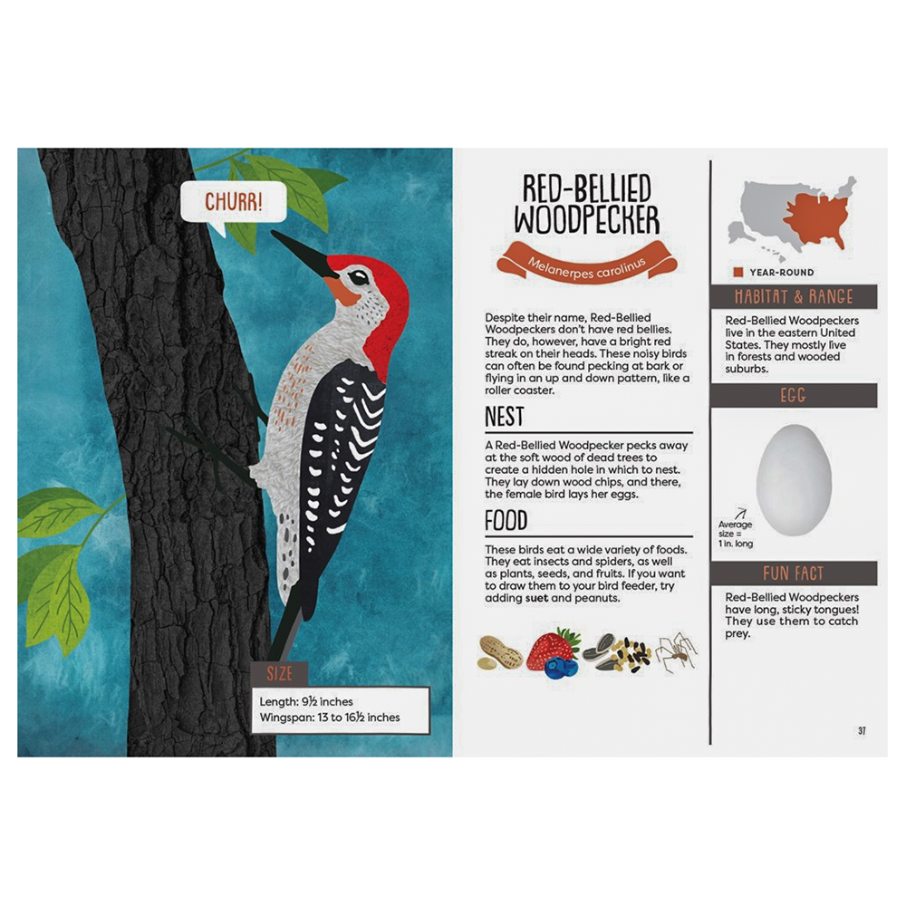 Kids Guide To Backyard Birds Paperback Book