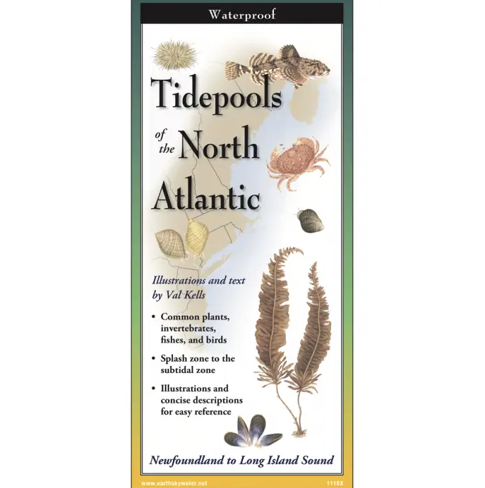 Earth Sky + Water - Brochure Guide - Tidepools of the North Atlantic