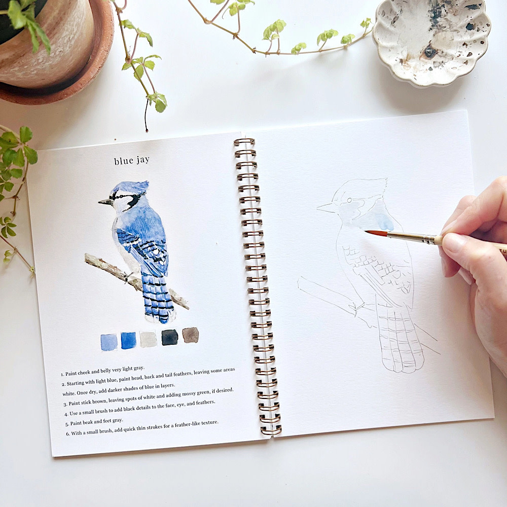 Emily Lex Studio Watercolor Workbook - Birds
