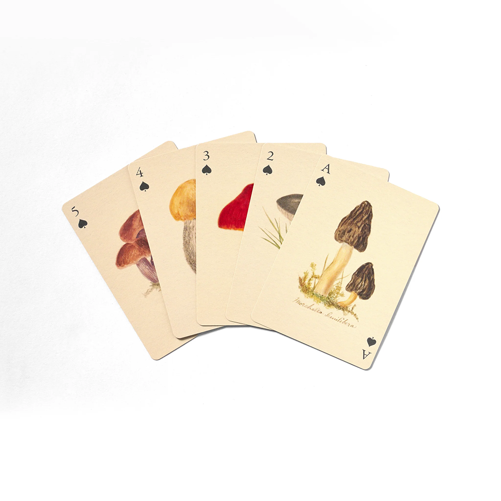 Roomytown Playing Cards - Set of Two Decks - Fungi