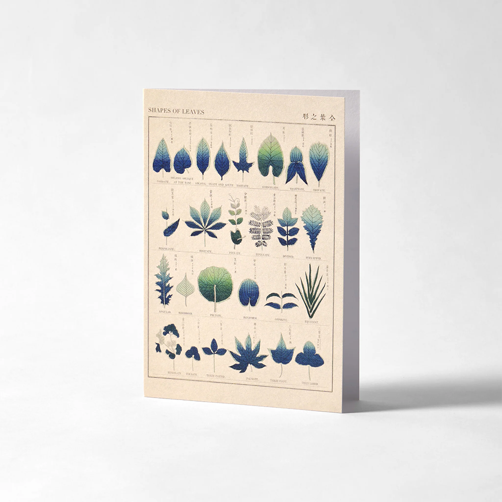 Roomytown Card - Shapes of Leaves