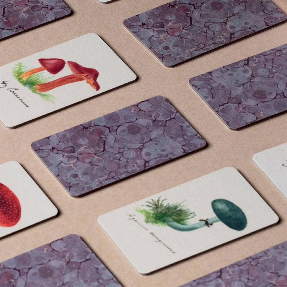 Roomytown Memory Game - Fungi