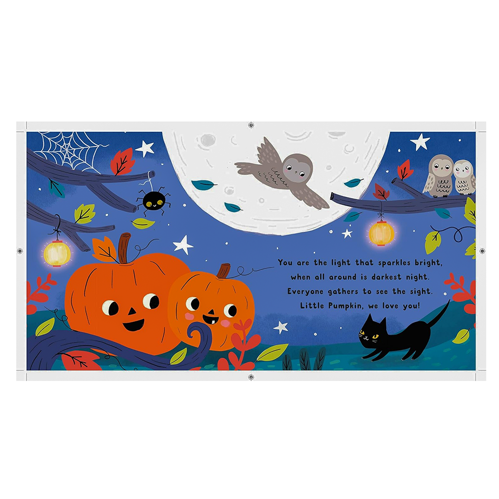 Little Pumpkin Board Book