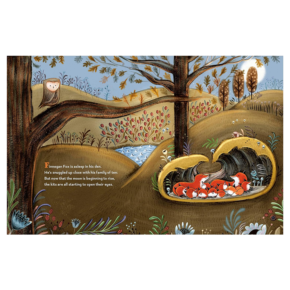 Finnegan Fox Hardcover Book