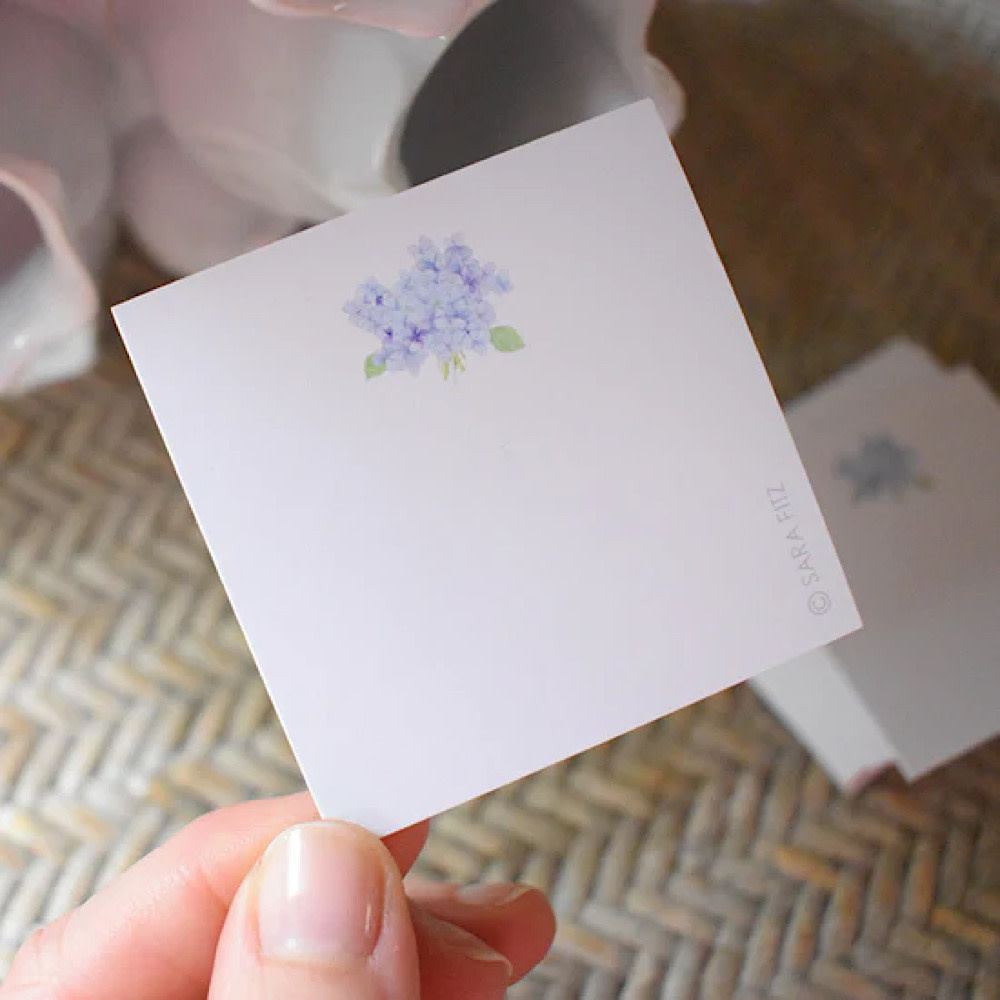 Sara Fitz Notelet - Hydrangea