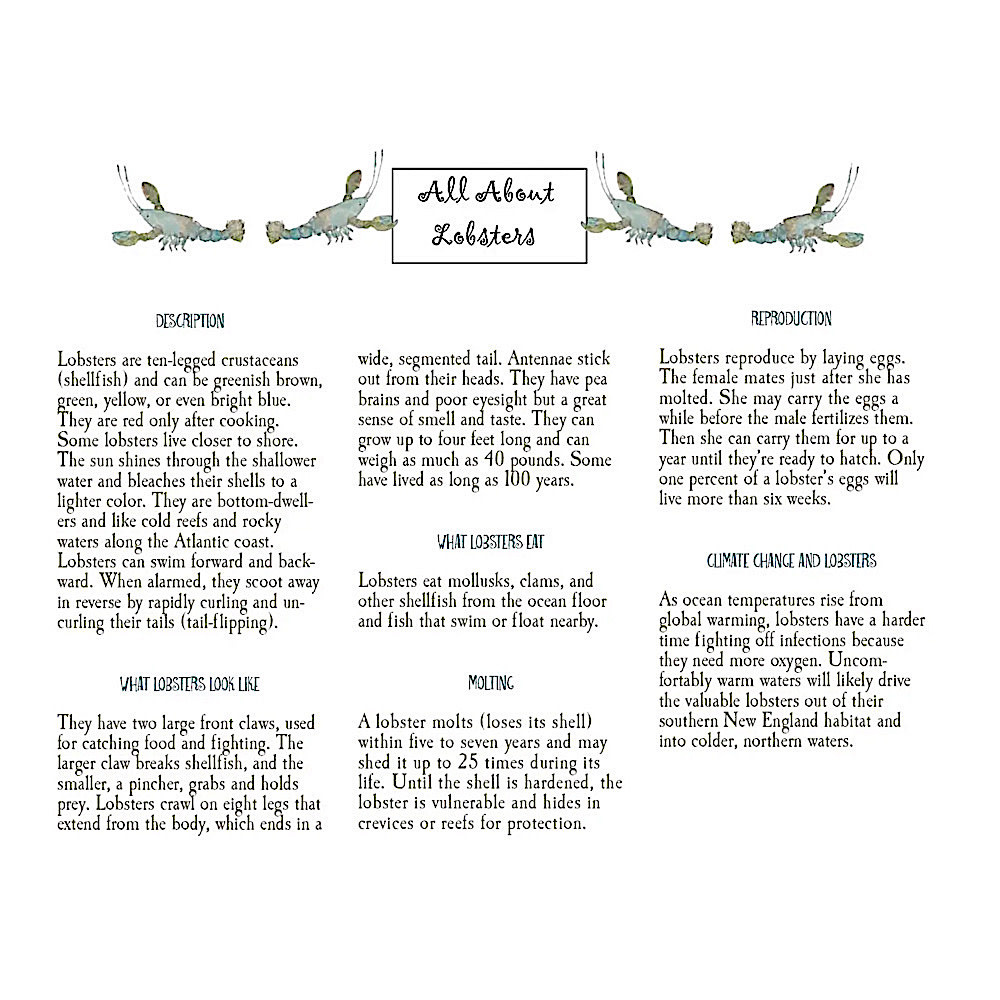 The Lobsters' Night Before Christmas Hardcover