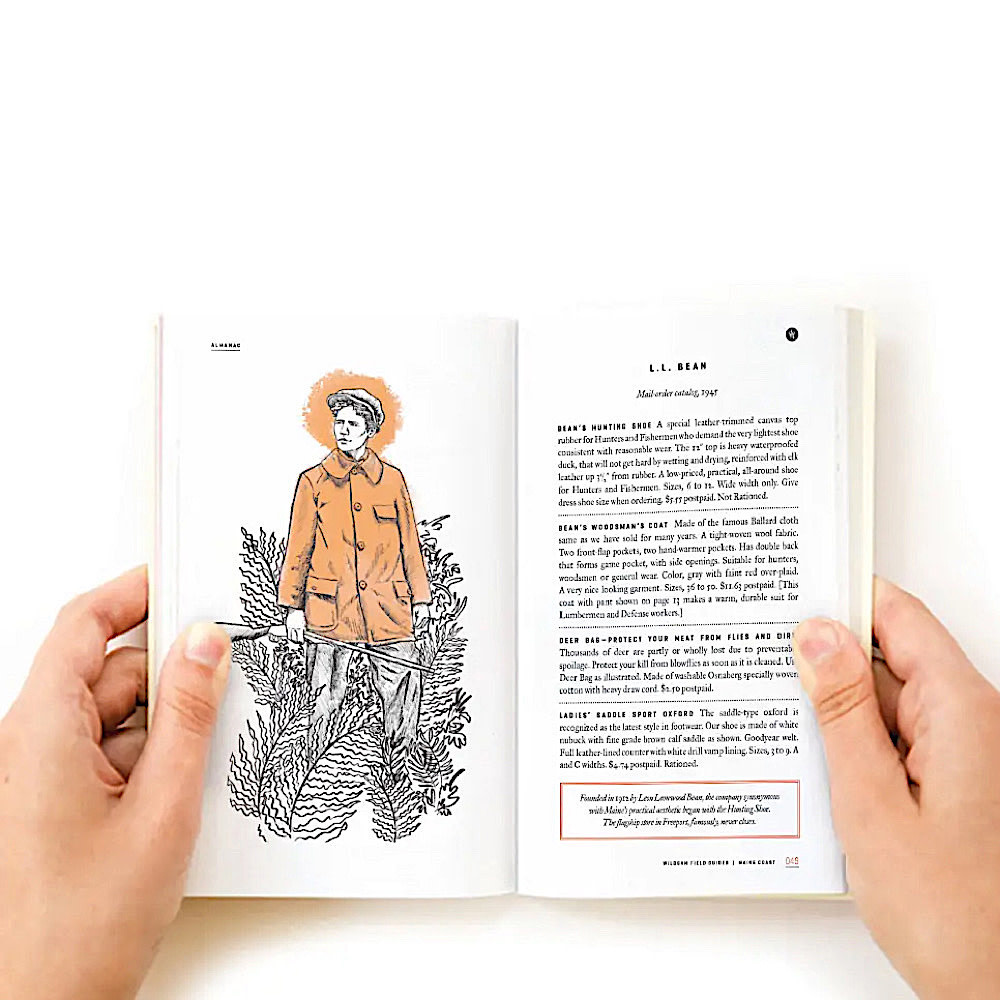 Maine Coast Field Guide