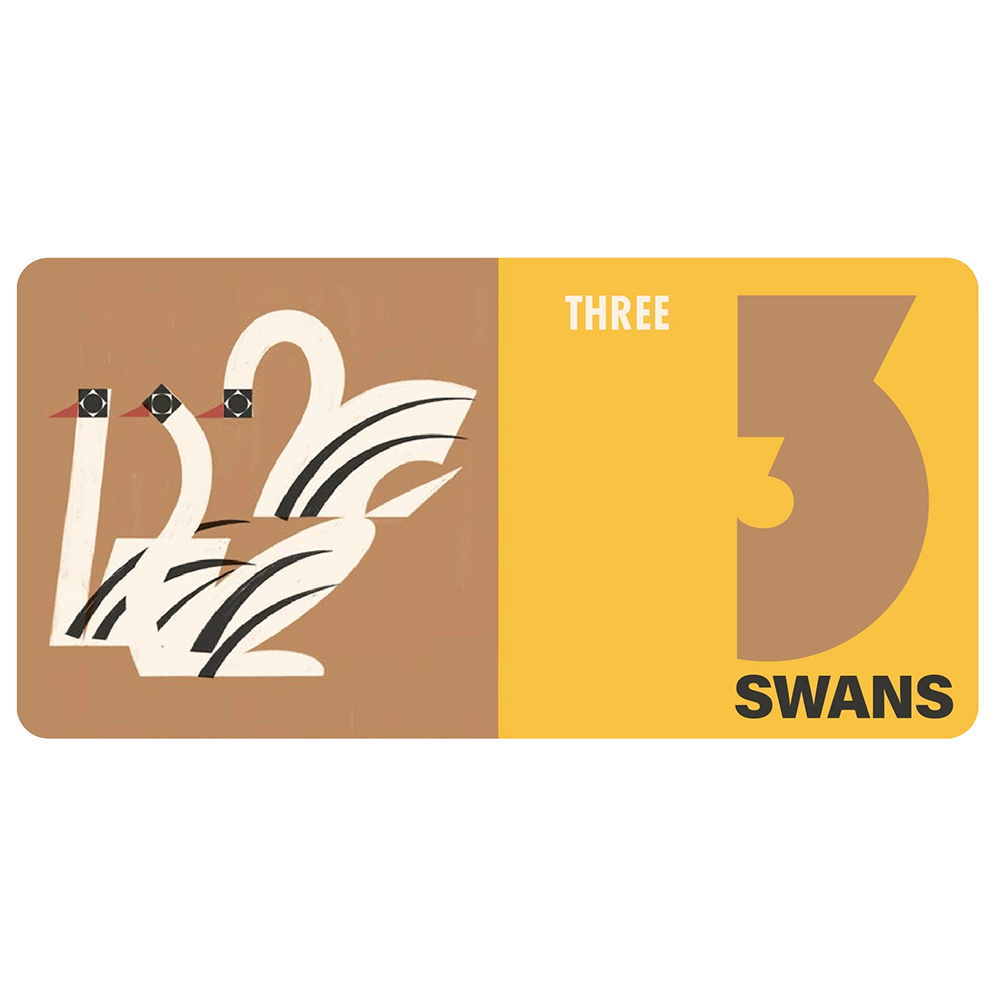 How Many Birds? Board Book