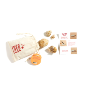 GeoCentral Break Your Own Geodes Bag