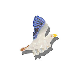 Solar Eclipse Seagull Claw Hair Clip