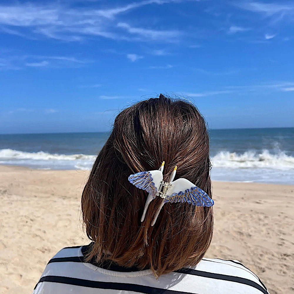 Seagull Claw Hair Clip