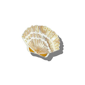 Solar Eclipse Claw Hair Clip - Seashell - Golden Sand