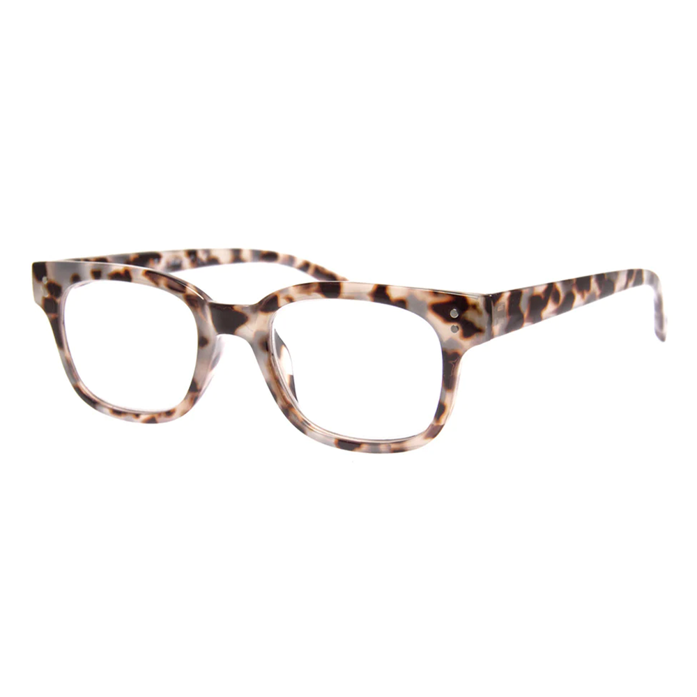 AJ Morgan Capable Readers - Grey Tortoise -