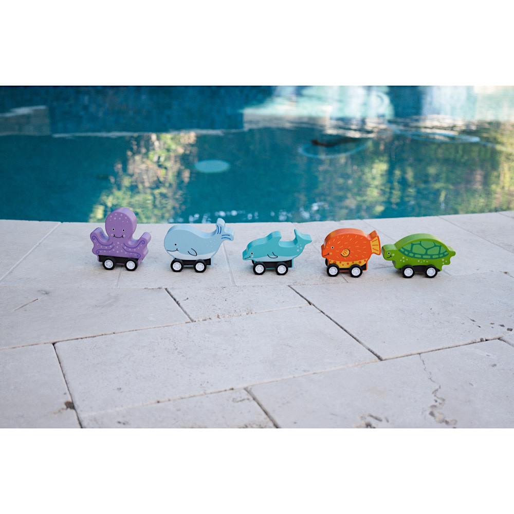 Jack Rabbit - Pull Back Ocean Creatures - Assorted