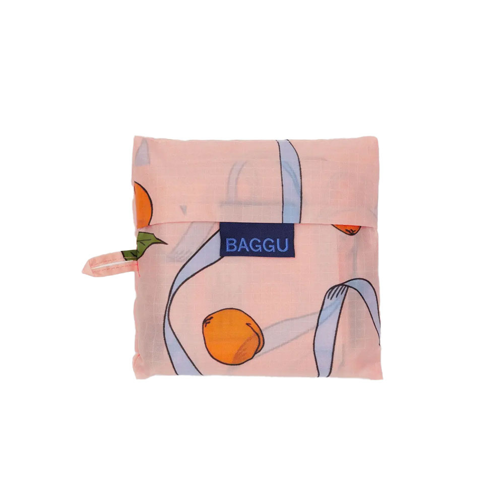 Baggu Standard  - Apricots & Ribbons