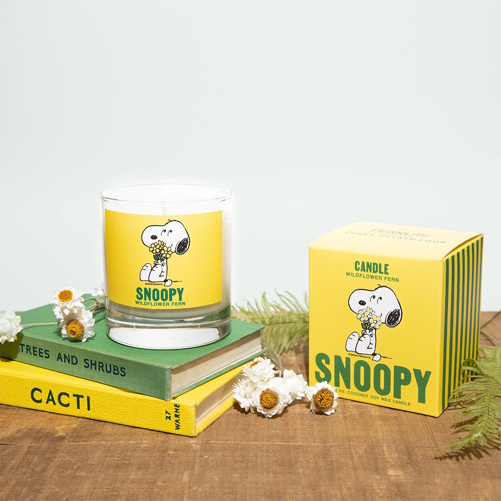Three Potato Four Candle - Wildflower Fern Snoopy Bouquet